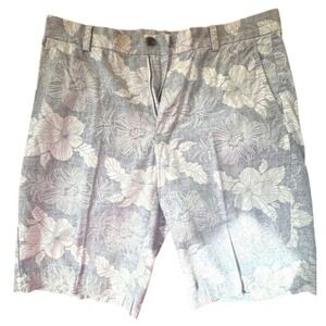 Brooks Brothers |‎ 346 Men's shorts | White & Gray | Waist 33 | SKU297
